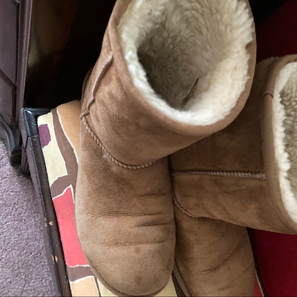 Classic calf leg length tan UGGs - Picture 3 of 11